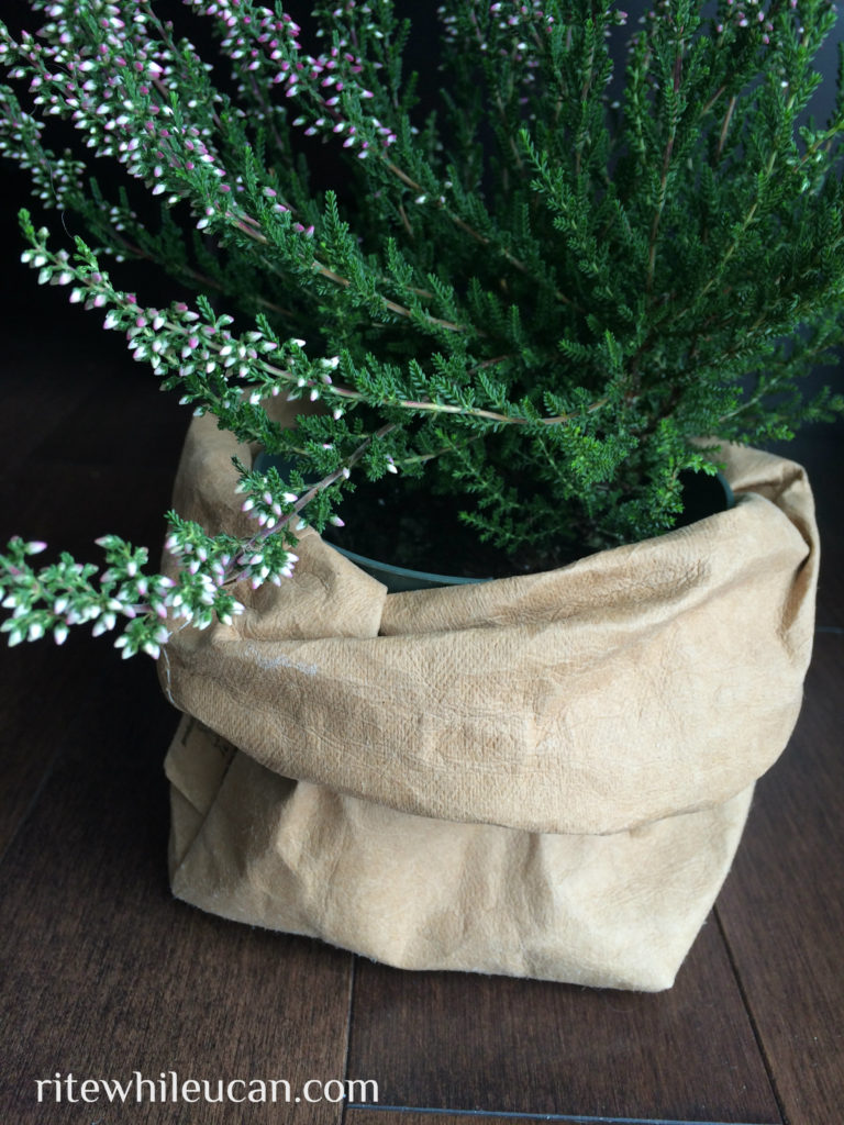 paper, paper bag, italy