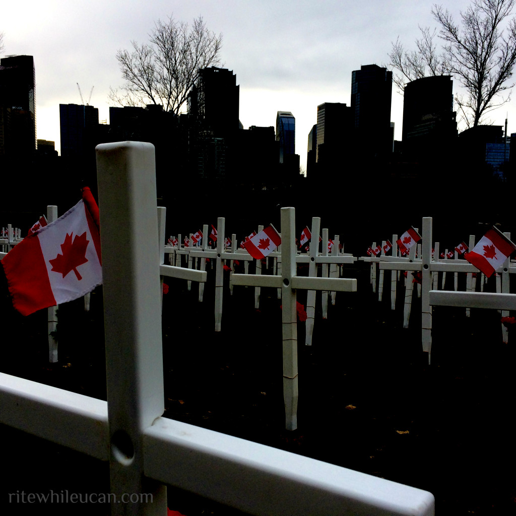 rememberance day, veterans day, veterans, war, remember, lest we forget