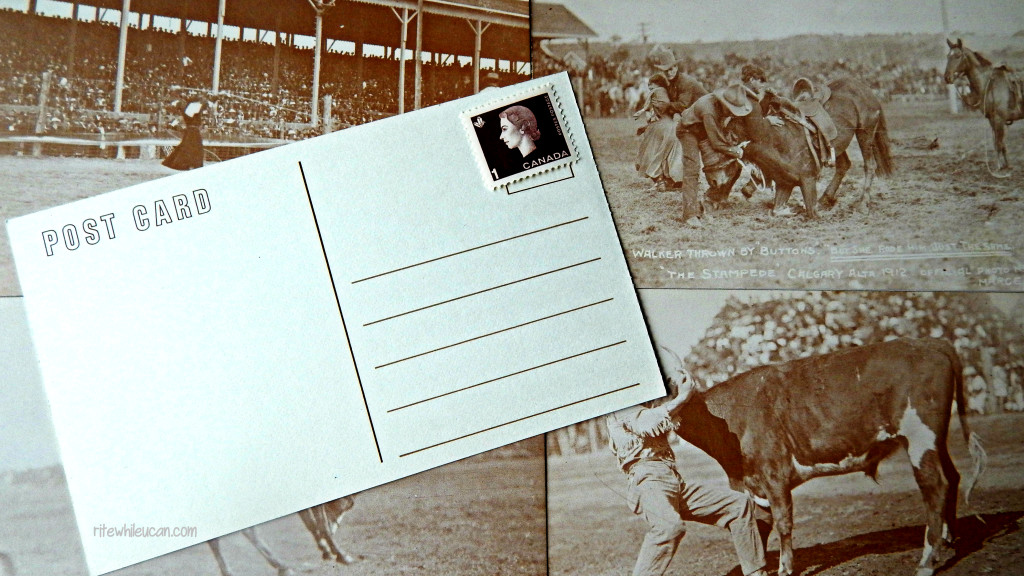 original Calgary Stampede postcards