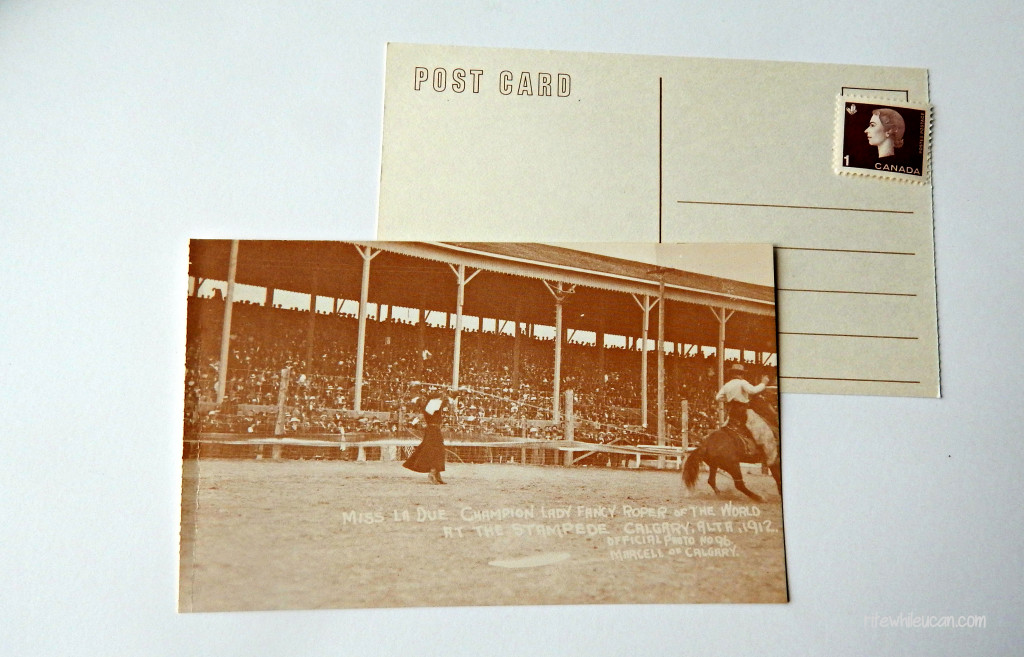 original Calgary Stampede postcards