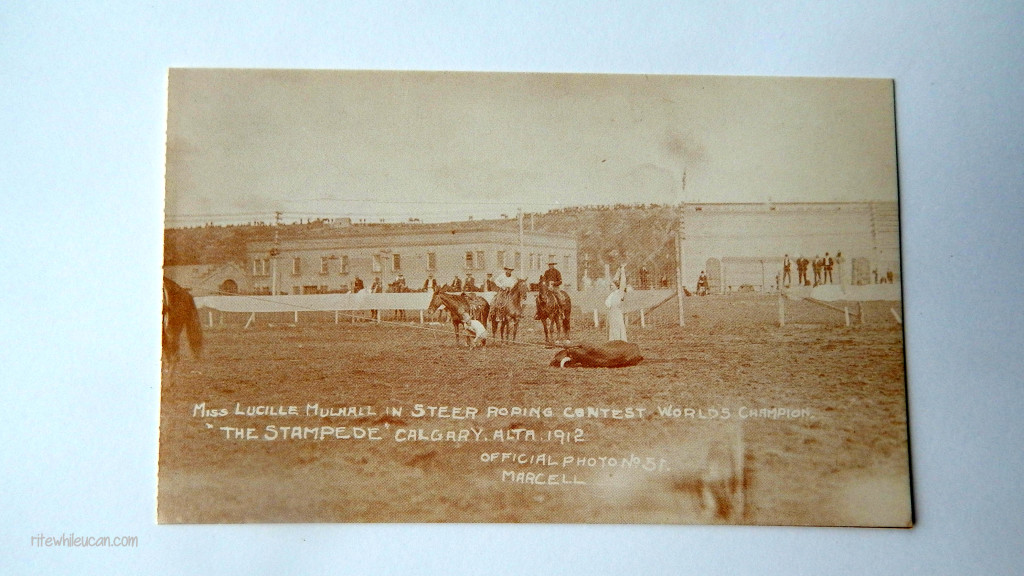 original Calgary Stampede postcards