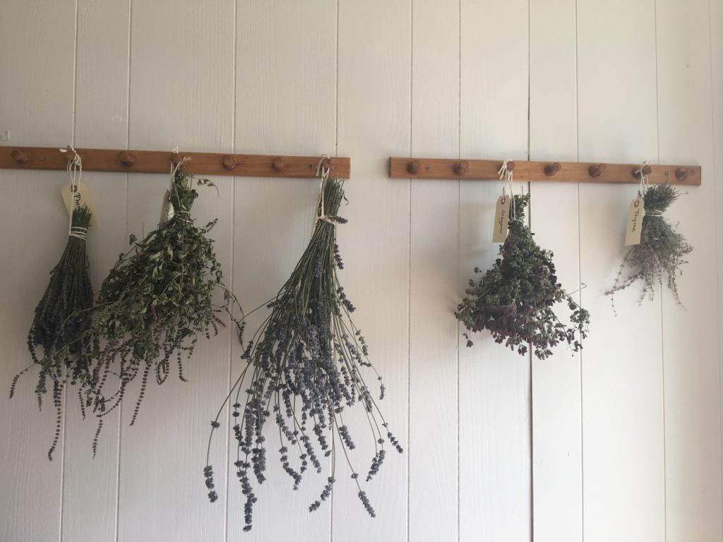 lavender farm with a mailbox, mailbox, lavender